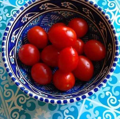 לינה וארוחת בוקר Agora 4*